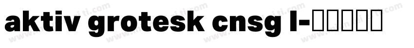 aktiv grotesk cnsg l字体转换
